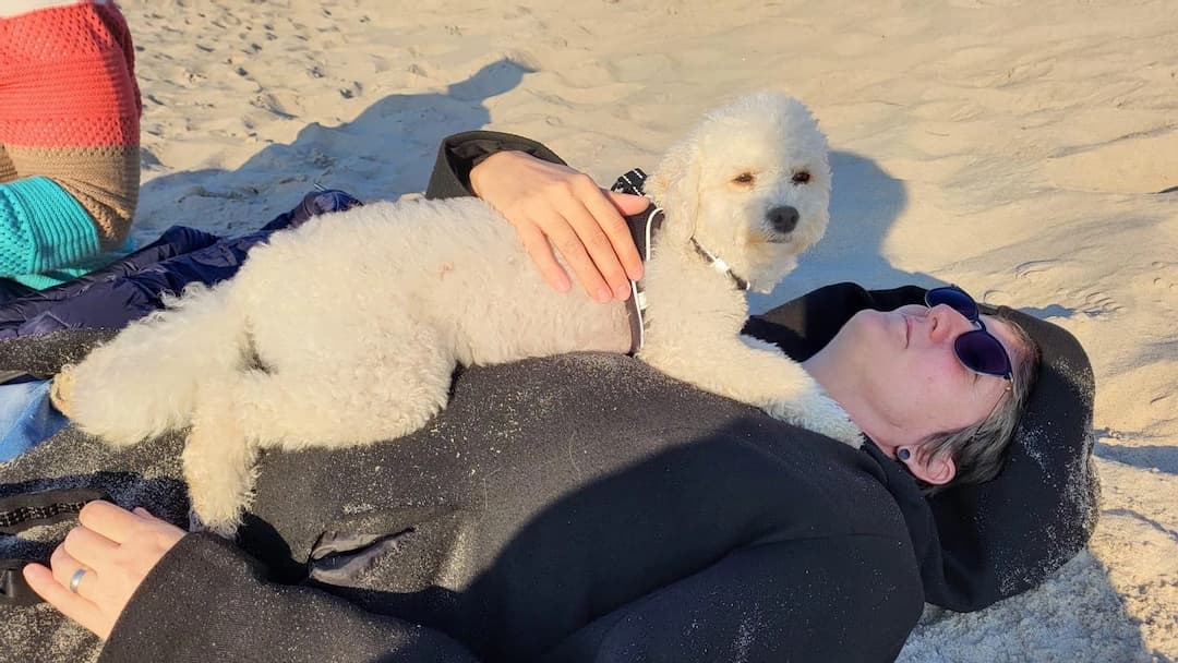 🐾 Tiergestützte Therapie live erleben